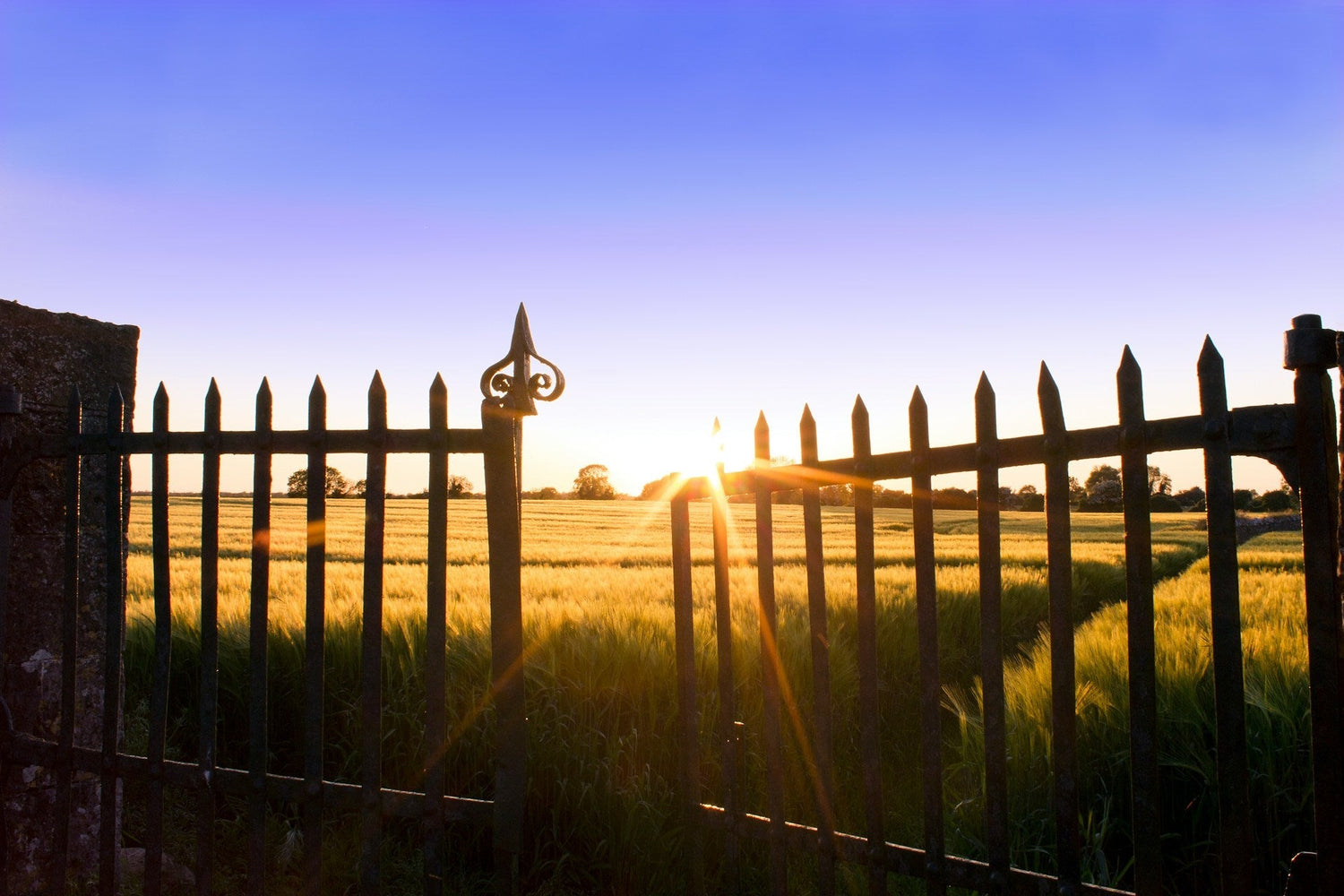Top Solar Powered Gate Opener Manufacturers