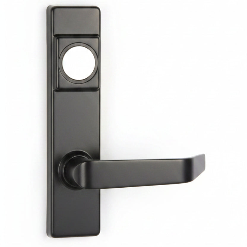 Detex BN Lever Trim with Cylinder Hole, For Value Series Devices, Black Painted