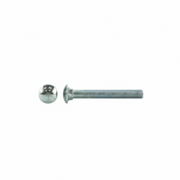Carriage Bolt SS 3/8-16 x 2-1/4 Painted