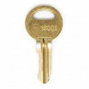 REPLACEMENT 16001 KEYS (BAG OF 10)..***MUST BE DROP SHIPPED***(5.23)