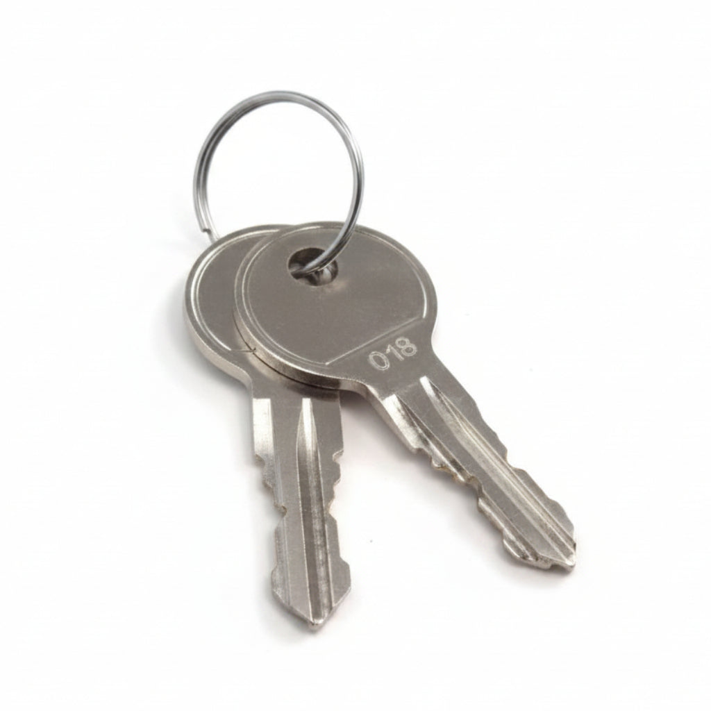#18 Key For Microdrive (Set of 2)