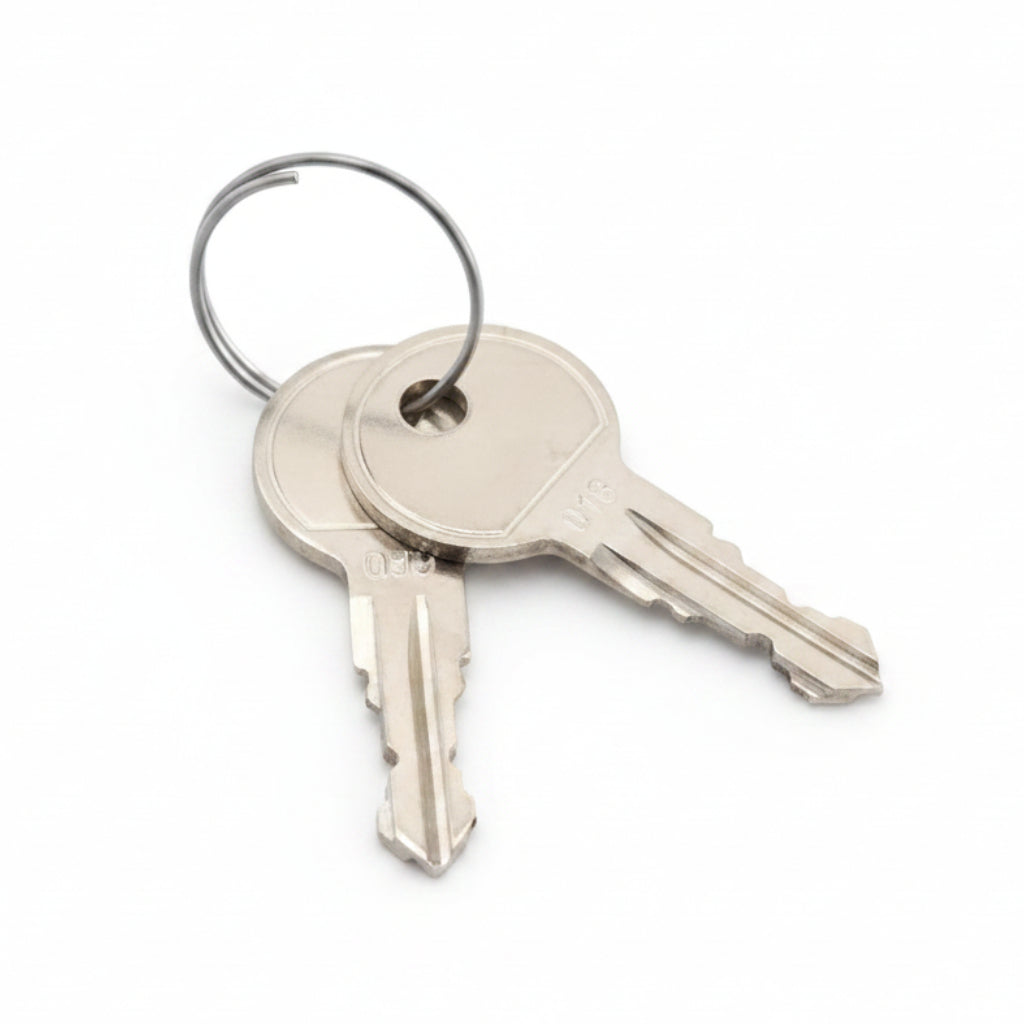 #19 Key For Microdrive (Set Of 2)