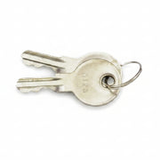 Replacement Keys for Access Door by Liftmaster