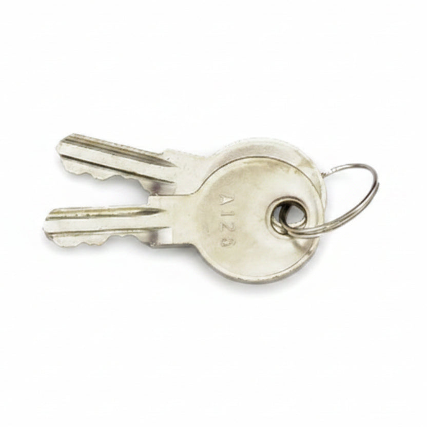 Replacement Keys for Access Door by Liftmaster